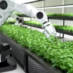 AI种菜可让消费者“定制口味”？美媒看好垂直AI农场未来前景