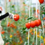 养殖业跨进AI世界——重庆智慧农场发展调查